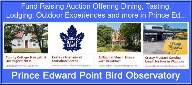 pp1215:405309780:405914579:20251215