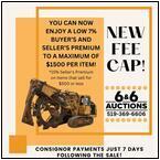 AUCTION ITEM:660815M001t.jpg