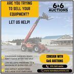 AUCTION ITEM:661002C003t.jpg