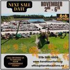 AUCTION ITEM:661106A003t.jpg