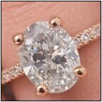 AUCTION ITEM:af0110M006t.jpg