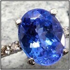 AUCTION ITEM:af0127M005t.jpg