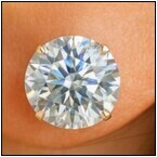 AUCTION ITEM:af0210M001t.jpg