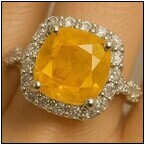 AUCTION ITEM:af0214M008t.jpg