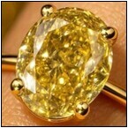 AUCTION ITEM:af0214M009t.jpg