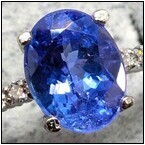 AUCTION ITEM:af0310M004t.jpg