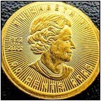 AUCTION ITEM:af0407M002t.jpg