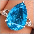 AUCTION ITEM:af0407M006t.jpg