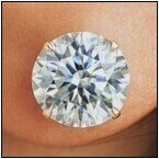 AUCTION ITEM:af0428M005t.jpg