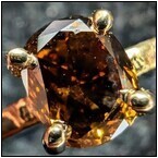 AUCTION ITEM:af1101M006t.jpg