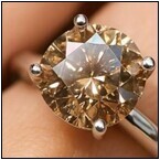 AUCTION ITEM:af1122M009t.jpg