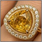 AUCTION ITEM:af1206M001t.jpg