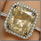 AUCTION ITEM:af1206M008t.jpg