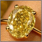 AUCTION ITEM:af1216M009t.jpg