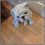 AUCTION ITEM:ah0919M031t.jpg