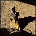 AUCTION ITEM:bh0404M043t.jpg