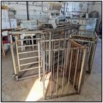 AUCTION ITEM:bh0404M052t.jpg