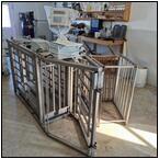 AUCTION ITEM:bh0404M053t.jpg