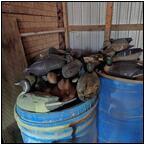 AUCTION ITEM:bh0418M040t.jpg