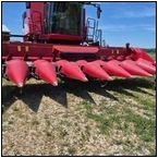 AUCTION ITEM:bh0822M079t.jpg