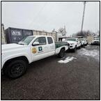 AUCTION ITEM:bm0129M007t.jpg