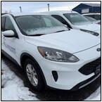 AUCTION ITEM:bm0129M012t.jpg