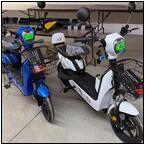 AUCTION ITEM:bm0611M067t.jpg