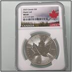 AUCTION ITEM:bm0623M013t.jpg