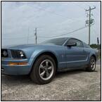 AUCTION ITEM:bm0813M049t.jpg