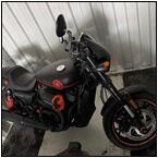 AUCTION ITEM:bm0910M002t.jpg