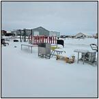 AUCTION ITEM:bo1204M021t.jpg