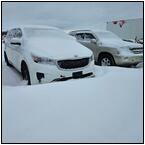 AUCTION ITEM:bo1204M030t.jpg