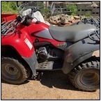 AUCTION ITEM:bt0627M056t.jpg