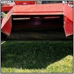 AUCTION ITEM:by0517R005t.jpg