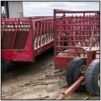 AUCTION ITEM:by0523J027t.jpg