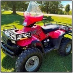 AUCTION ITEM:by1003R002t.jpg