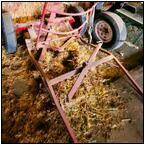 AUCTION ITEM:by1220M028t.jpg