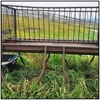 AUCTION ITEM:by1220M030t.jpg