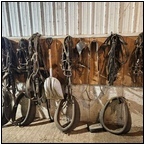 AUCTION ITEM:by1220M043t.jpg