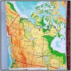 AUCTION ITEM:ca0503M009t.jpg