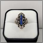 AUCTION ITEM:ca0529L018t.jpg