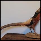 AUCTION ITEM:ca1115M022t.jpg