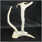 AUCTION ITEM:cm0108M020t.jpg