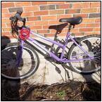 AUCTION ITEM:da0326M001t.jpg