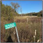 AUCTION ITEM:de0130M001t.jpg