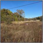 AUCTION ITEM:de0130M003t.jpg