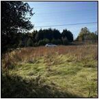 AUCTION ITEM:de0130M005t.jpg