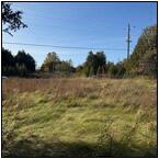 AUCTION ITEM:de0130M006t.jpg