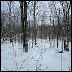 AUCTION ITEM:de0404M002t.jpg