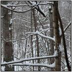 AUCTION ITEM:de0404M003t.jpg